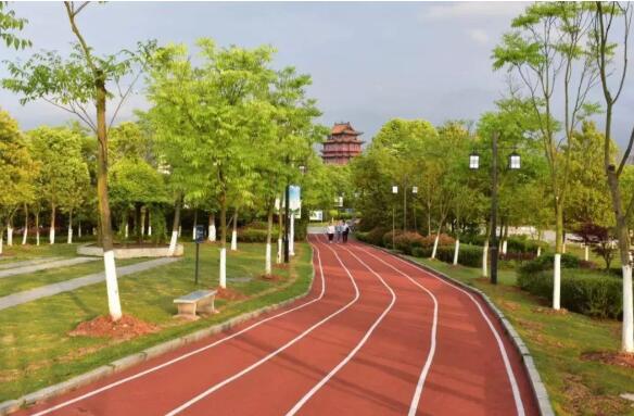 宜春健康步道改造完工，高顏值的新去處！